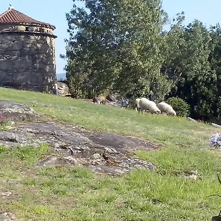 Guest house El Mirlo Blanco Catoira